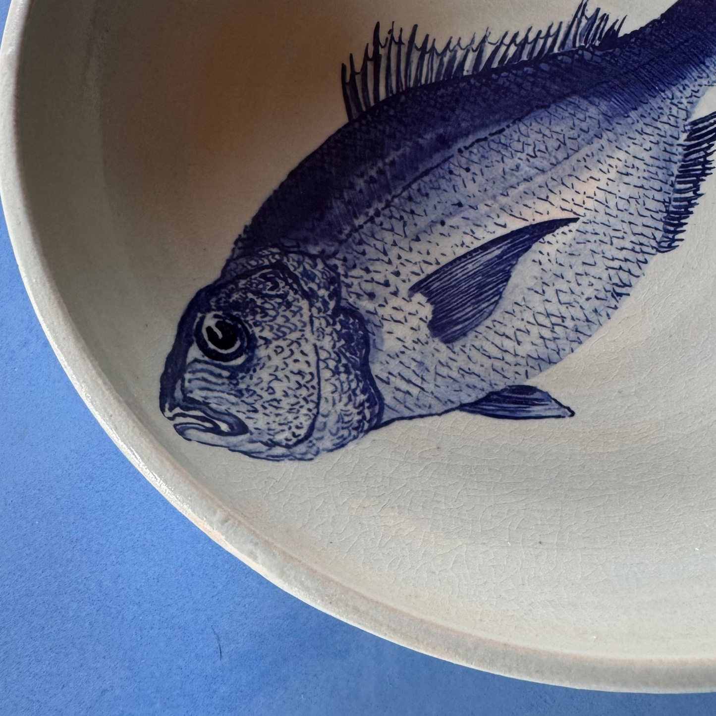 Angled side view of the handcrafted bowl displaying the full blue dorade illustration, its slightly irregular rim, and organic off-white ceramic finish.