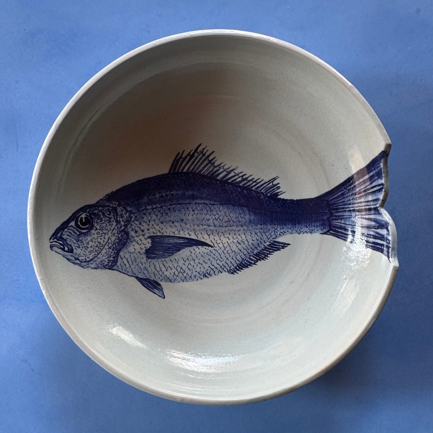 Top-down view of the ceramic bowl revealing the complete blue dorade fish design against a smooth, off-white glaze and its unique artisanal shape.