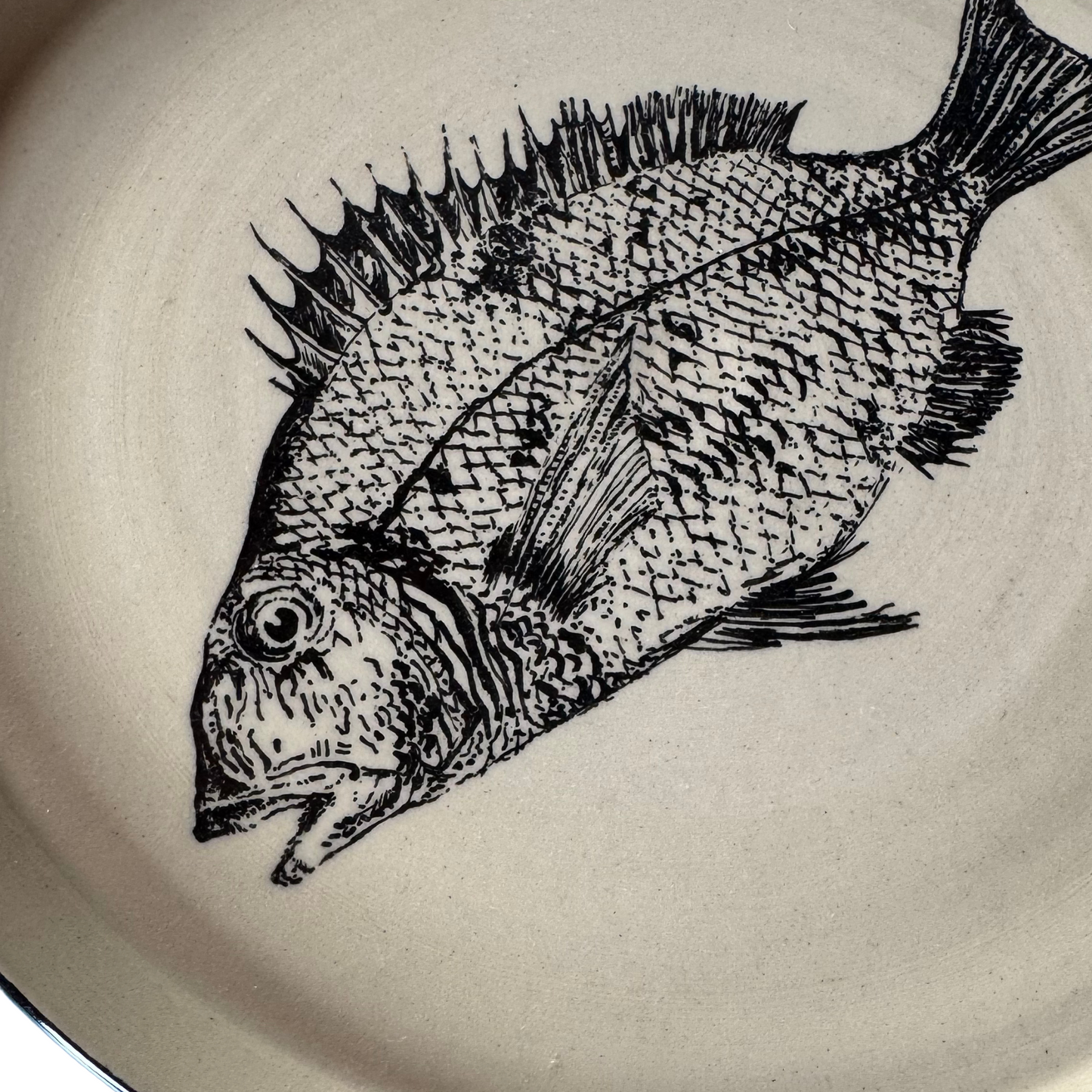 Close-up of the blue dorade fish head on the ceramic plate, highlighting fine brushwork and texture.