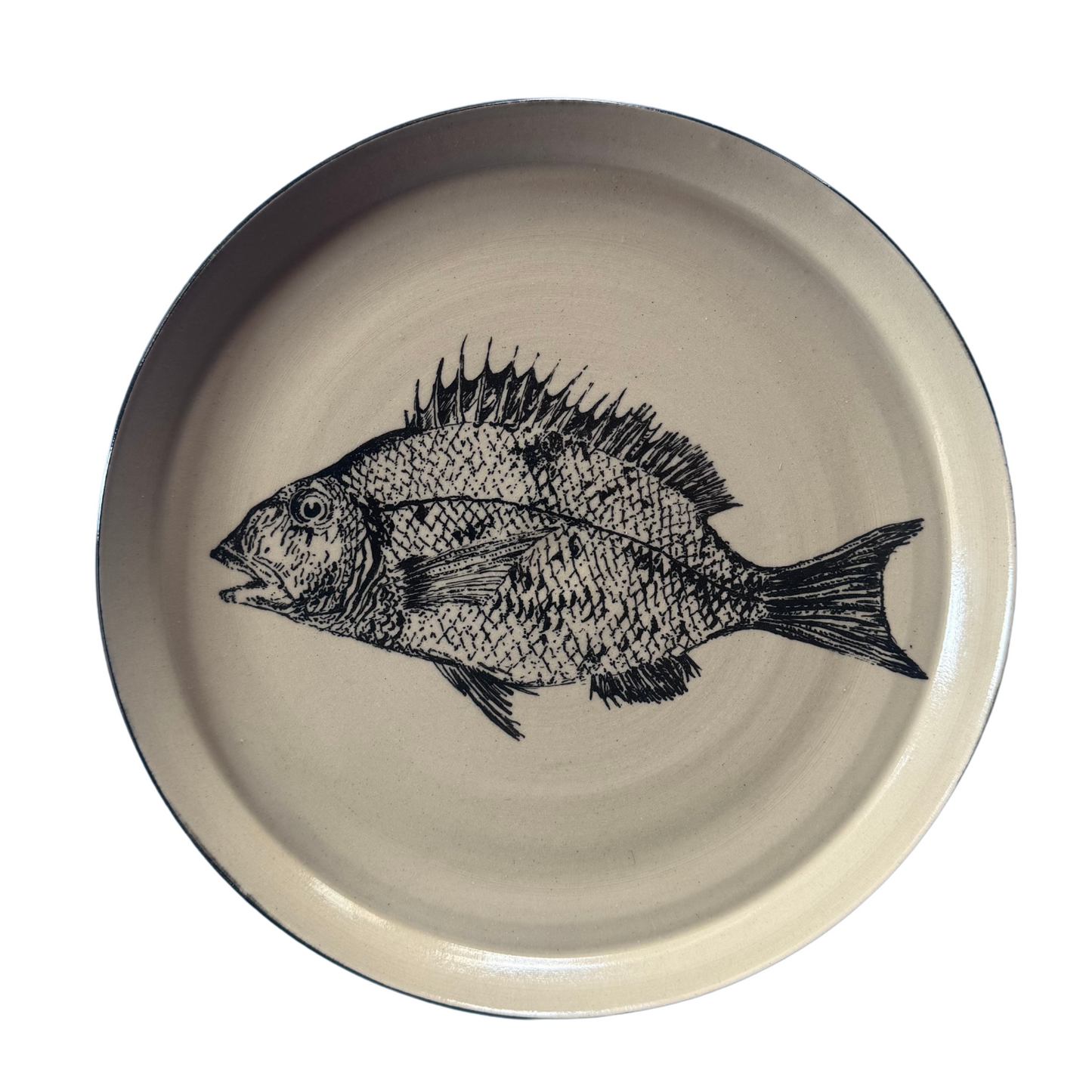 Top-down view of the hand-painted blue dorade fish on a cream ceramic plate, showcasing the full design.