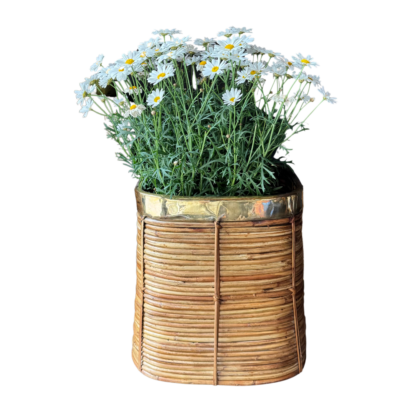 Full view of four-sided handwoven rattan basket with polished brass rim