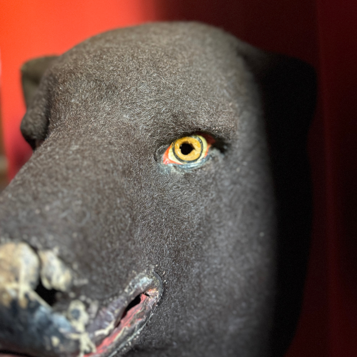 Macro shot of hand-painted eye on felt bear head, showing detailed brushwork