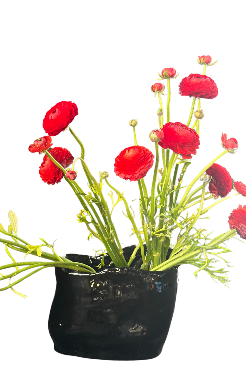 Handmade black ceramic vase styled with vibrant red flowers, showcasing its organic shape and textured glaze.